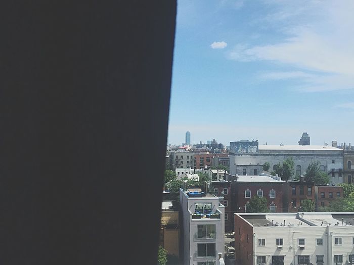 Buildings in city