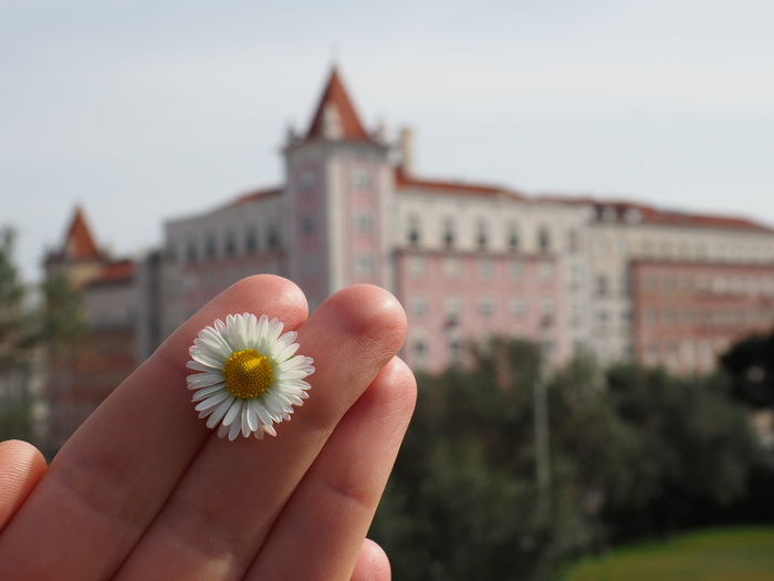 Close-up of hand holding flower against building