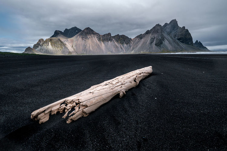 Scenic view of driftwood on land against sky