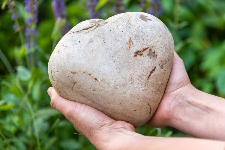 Close-up of hand holding heart shaped rock
