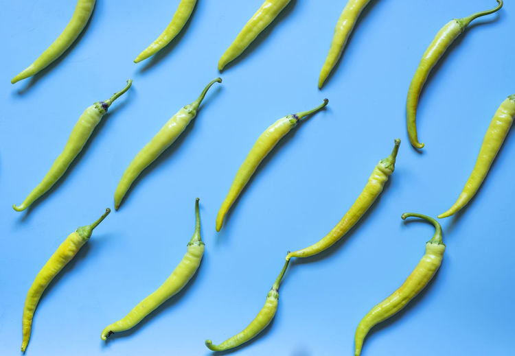 Low angle view of yellow chili peppers against blue background