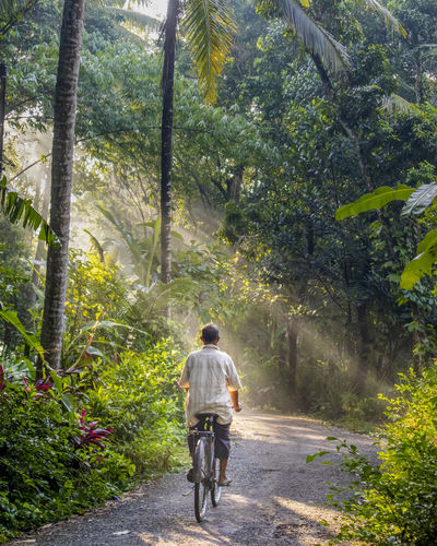 Rear view of man riding bicycle on road in forest