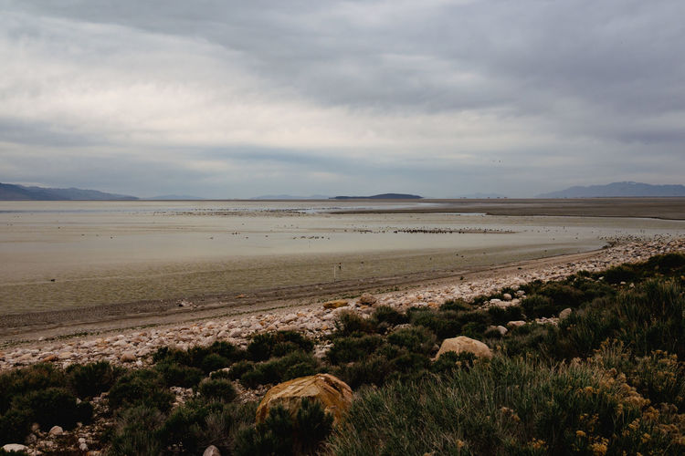 Dried out great salt lake, utah. drought, global warming, climate change issues. receding water line