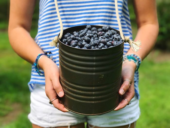 Midsection of person holding fruit