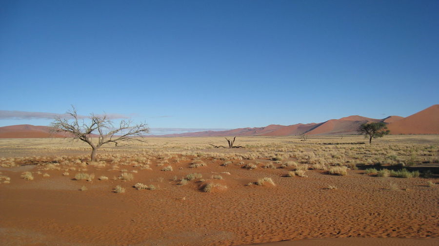 Scenic view of desert against clear sky