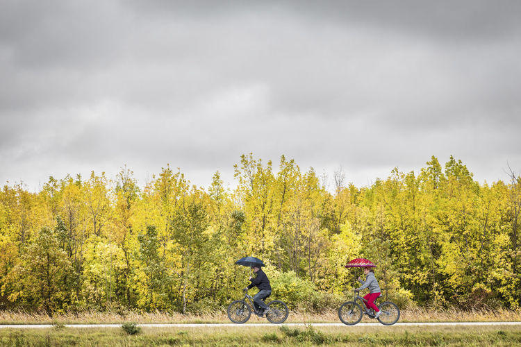 People riding bicycle by trees against sky