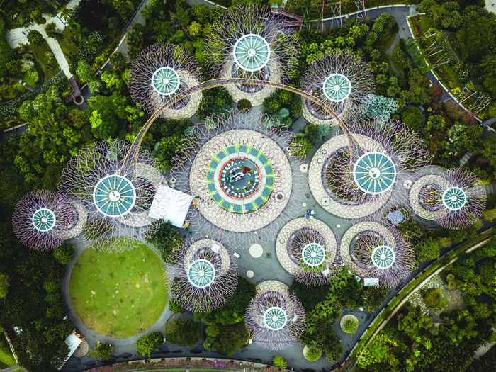 High angle view of plants in park