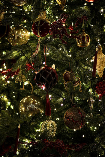 Low angle view of illuminated christmas tree