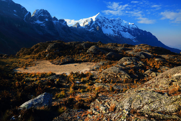 Dry grass on rocks by snowcapped mountain peak