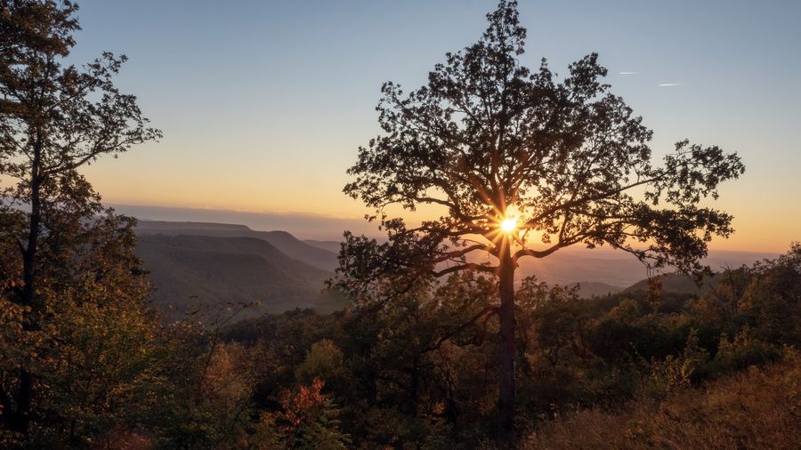 Scenic view of sunset