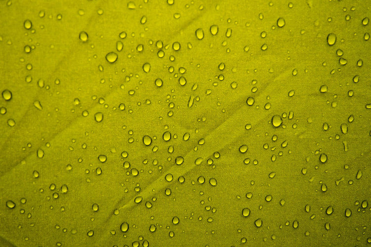Macro shot of water drops on yellow leaf