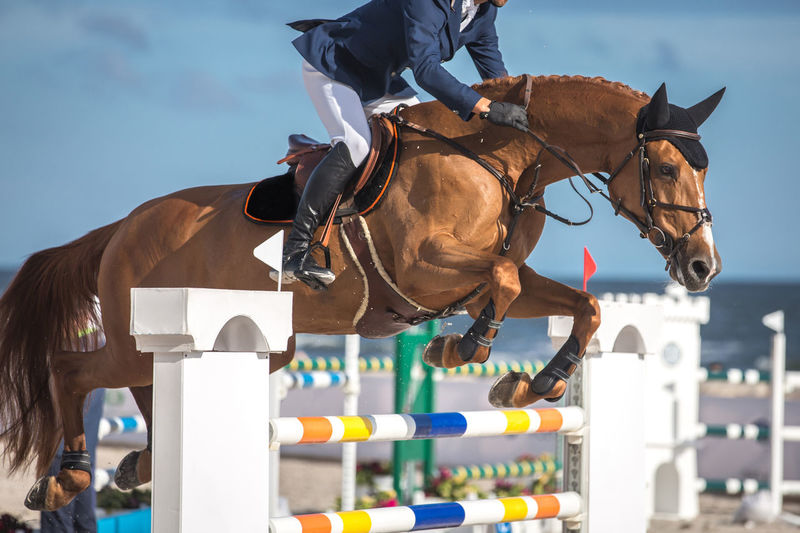 Low section of person jumping over hurdle while riding horse