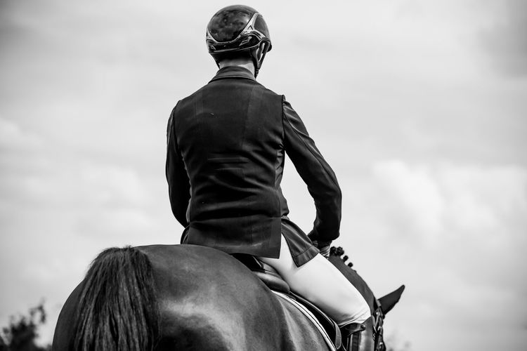 Rear view of horse riding