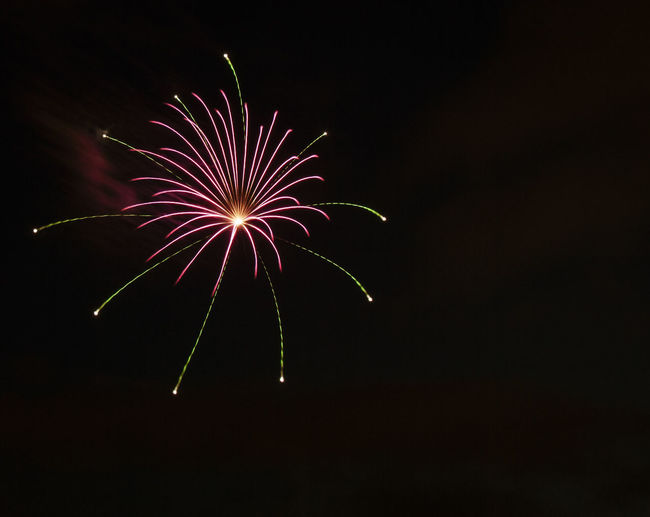 Low angle view of fireworks in night sky