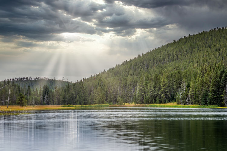 Tranquil scenery at the yellowstone lake, wyoming