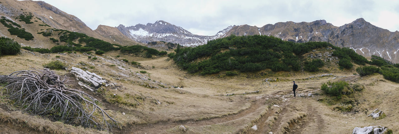 Rear view of woman looking at landscape during winter