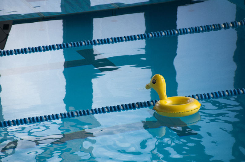 Rubber duck floating on swimming pool