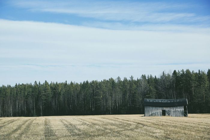 View of hut on grassy landscape