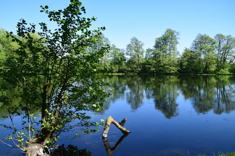 Scenic view of lake against clear blue sky