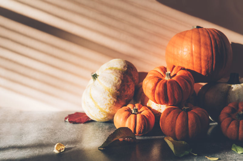 Pile of different pumpkins with strong shadows. halloween or thanksgiving holiday backgrounds 