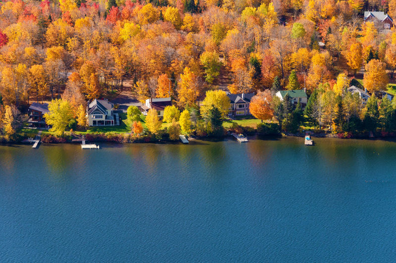 Scenic view of lake by trees and houses during autumn