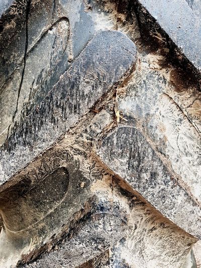 Close up of leaf