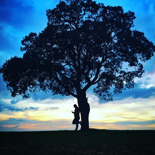 Silhouette man leaning on tree at field against sky during sunset
