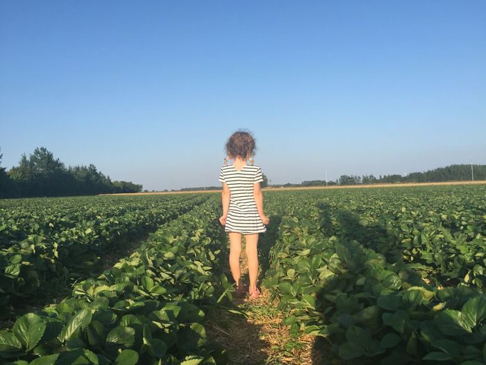 Girl in agricultural field