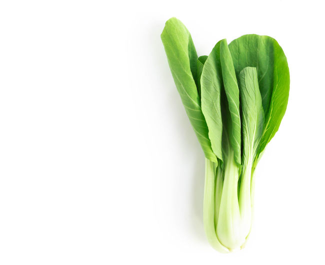 Directly above shot of green bok choys on white background