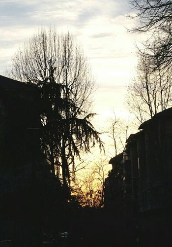 Buildings in city at sunset