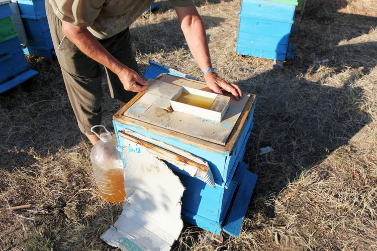Preparing honey bees for winter