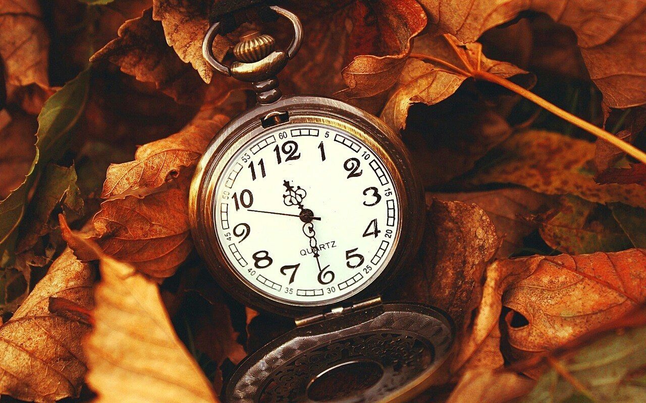 time, clock, instrument of time, autumn, watch, number, alarm clock, plant part, clock face, leaf, pocket watch, accuracy, no people, close-up, minute hand, nature