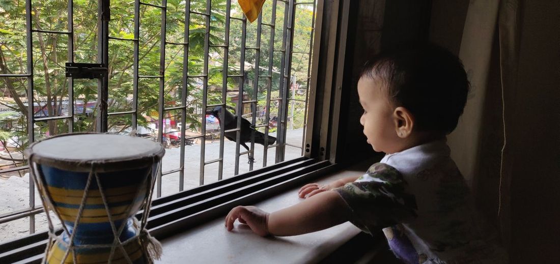 Boy looking at pigeon through window