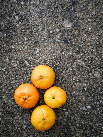 High angle view of orange fruits