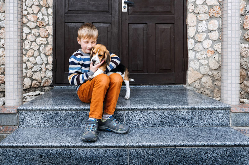 Pet love. kids and dogs. little boy hugging beagle puppy at home. cute little beagle puppy and kid 