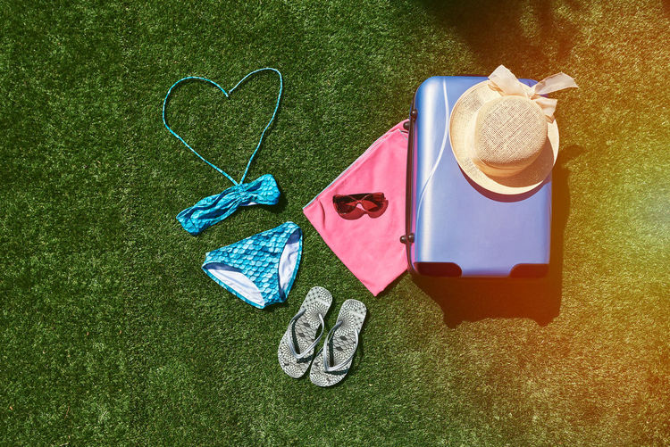 Luggage for summer vacation with grass in the background.