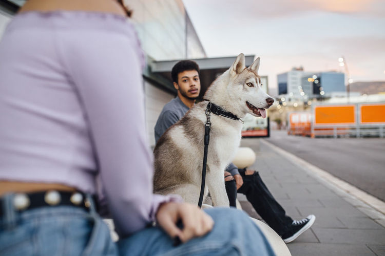 Siberian husky dog sitting by man and woman on footpath