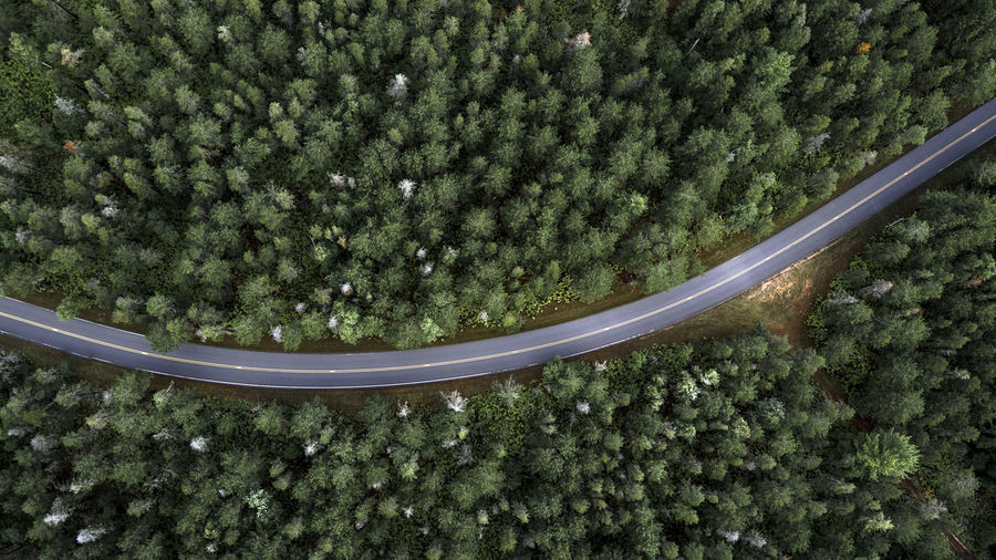 Aerial view of country road through forest