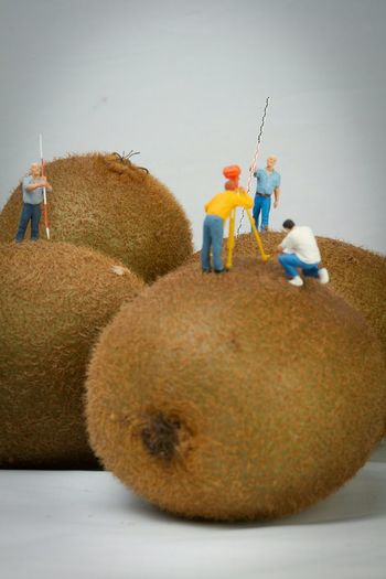 Close-up of figurines on kiwis against white background