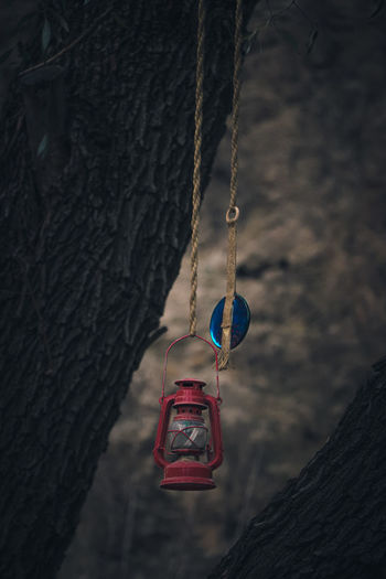 Mountain life