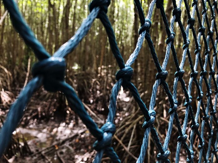Close-up of chainlink fence in forest