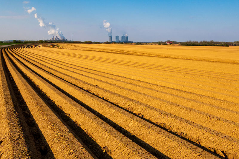 Scenic view of agricultural field against sky