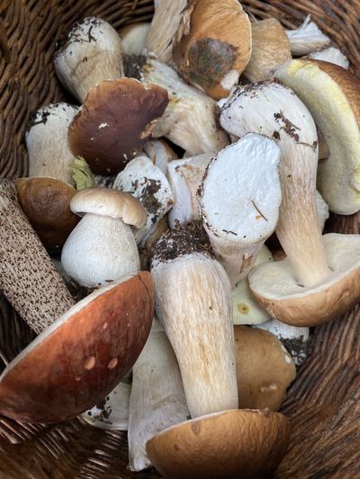 Close-up of mushrooms in basket