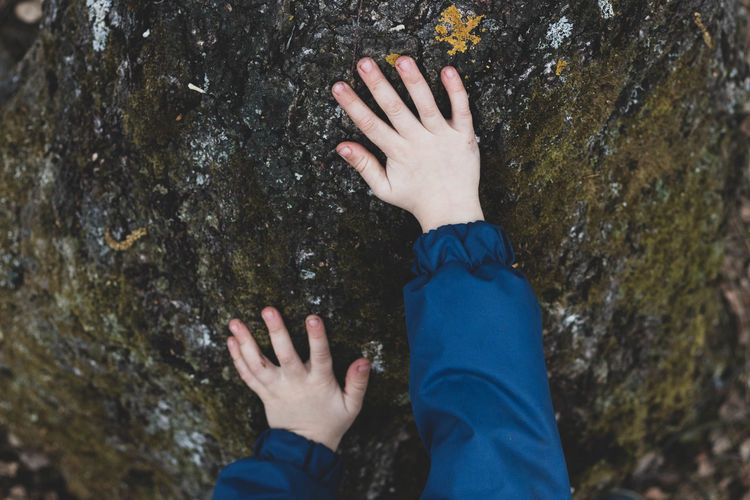 Midsection of person touching rocks on tree trunk