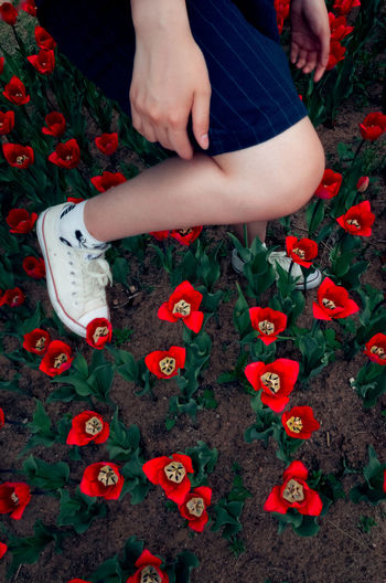 Low section of woman amidst red flowers on field