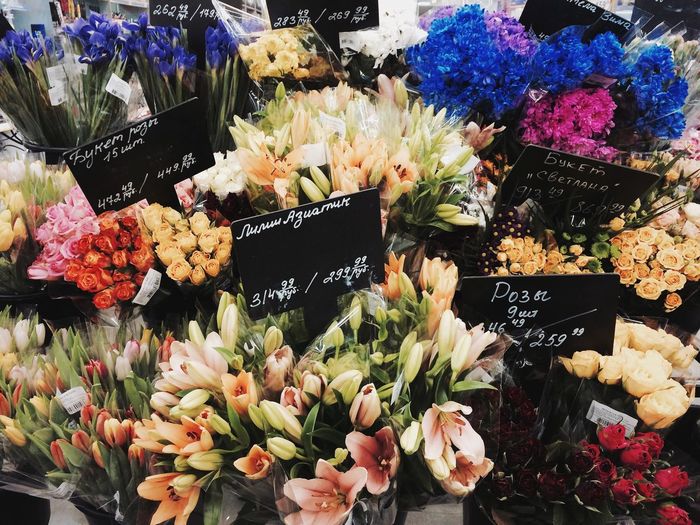 Colorful flowers for sale