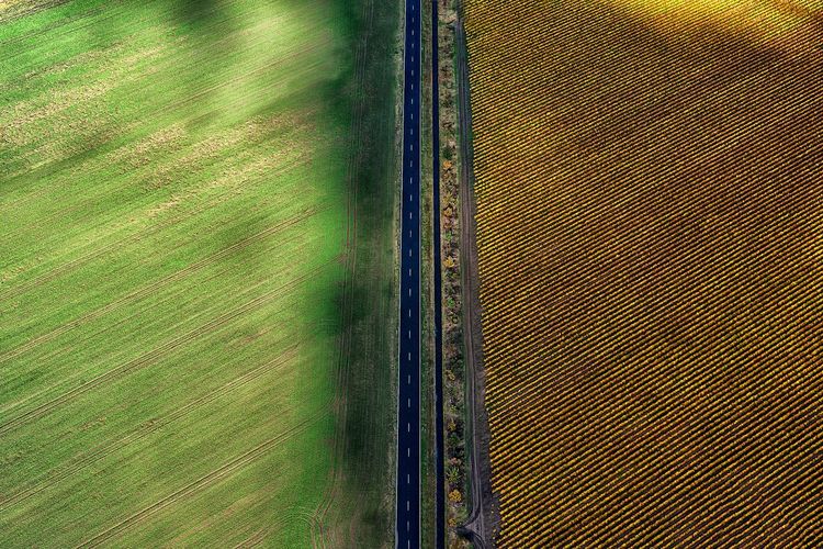 Aerial view of country road by fields