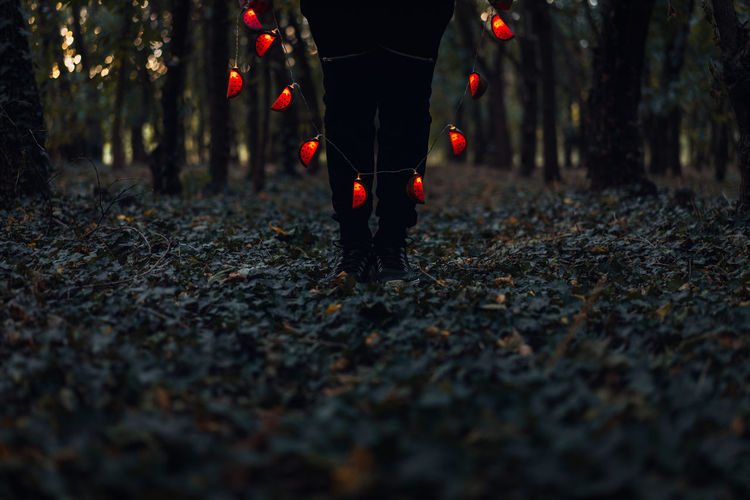 Low section of person holding illuminated lighting equipment at forest