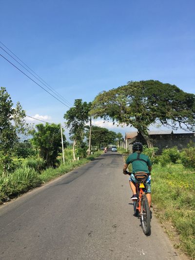 Rear view of person riding bicycle on road against sky