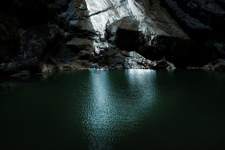 Reflection of trees in water